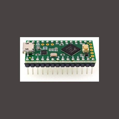 Teensy-LC With pins