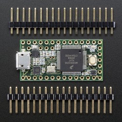 Teensy 3.2 With Pins