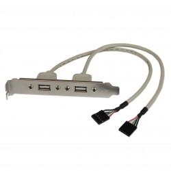 Adaptador de Placa USB A Hembra de 2 puertos