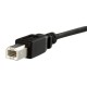 Cable USB de Montaje en Panel USB B a USB B de 30cm - Hembra a Macho